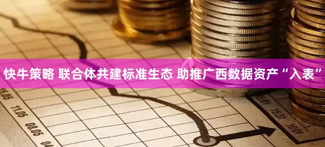 快牛策略 联合体共建标准生态 助推广西数据资产“入表”