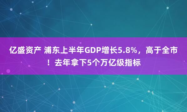 亿盛资产 浦东上半年GDP增长5.8%，高于全市！去年拿下5个万亿级指标