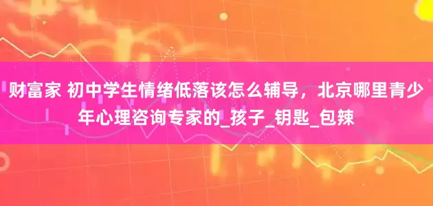 财富家 初中学生情绪低落该怎么辅导，北京哪里青少年心理咨询专家的_孩子_钥匙_包辣