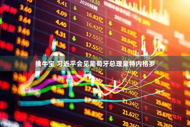 擒牛宝 习近平会见葡萄牙总理蒙特内格罗