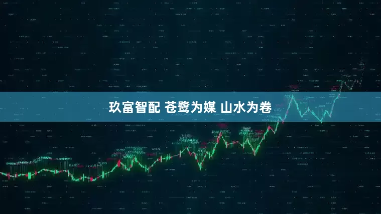 玖富智配 苍鹭为媒 山水为卷
